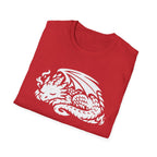 Sleeping Dragon Graphic T-Shirt