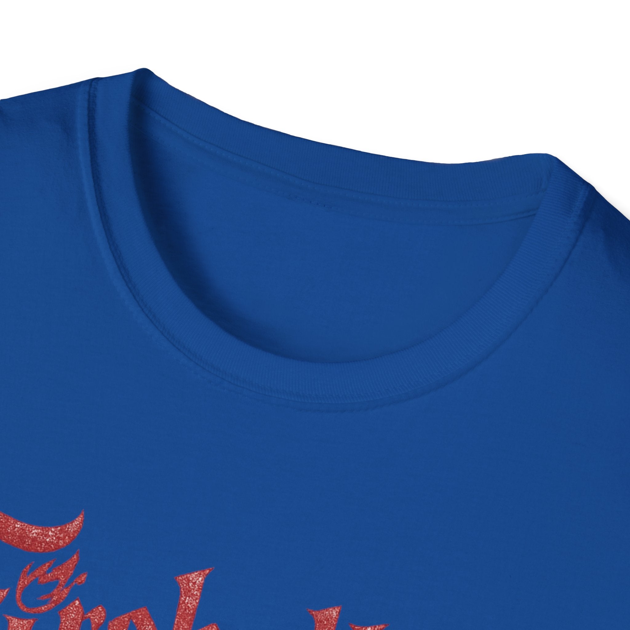 "Fireballed My Finances" Funny Role Play Gaming T-Shirt