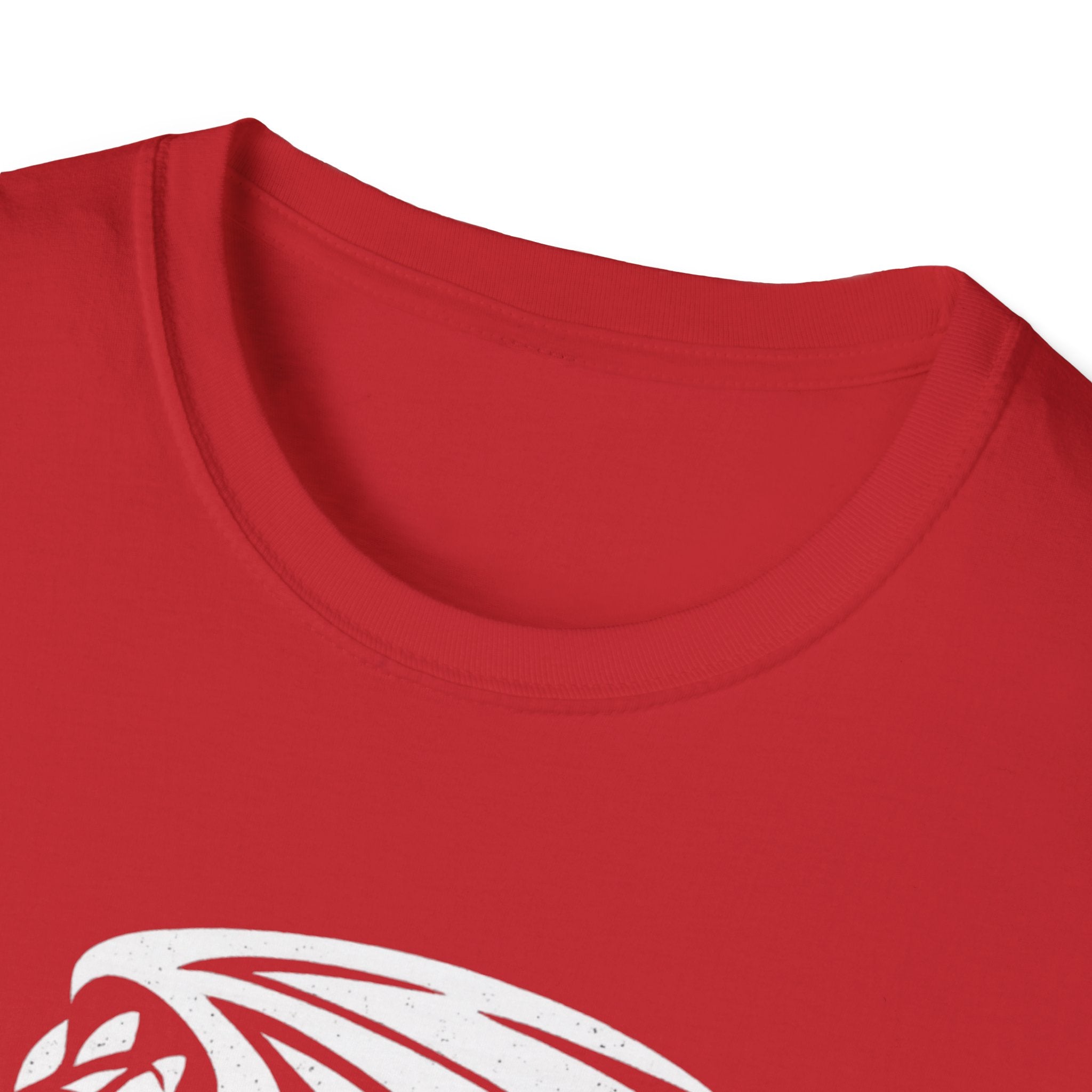 Sleeping Dragon Graphic T-Shirt